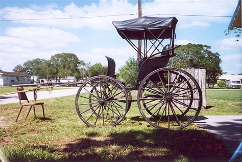 Phaeton Buggy Horse Carriage Pleasure Driving Carriage Markham Texas