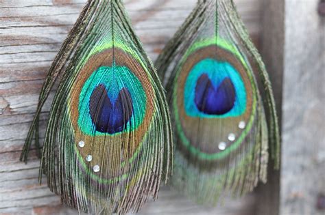 Good Idea For Peacock Feathers Etsy Earrings Feather Earrings