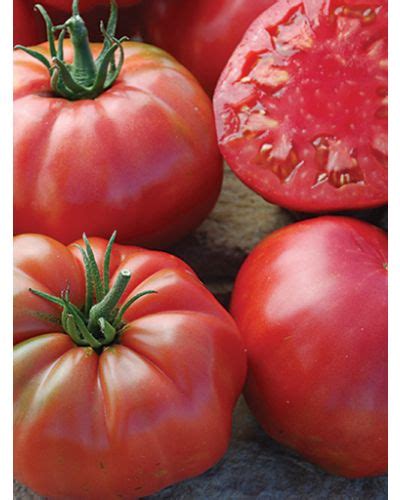 Italian Heirloom Tomato Seed Redemption Seeds