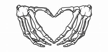Skeleton Hand Clipart Hands Heart Clipground Graphic