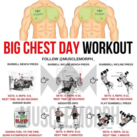 Chest Day Workout Gym Bodybuilding Muscle Musclemorph Darbee Workout