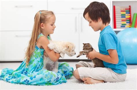 Best Pet For Kids How To Choose