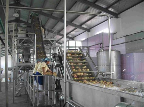 China Complete Apple Processing Line Produce Apple Juice China Apple