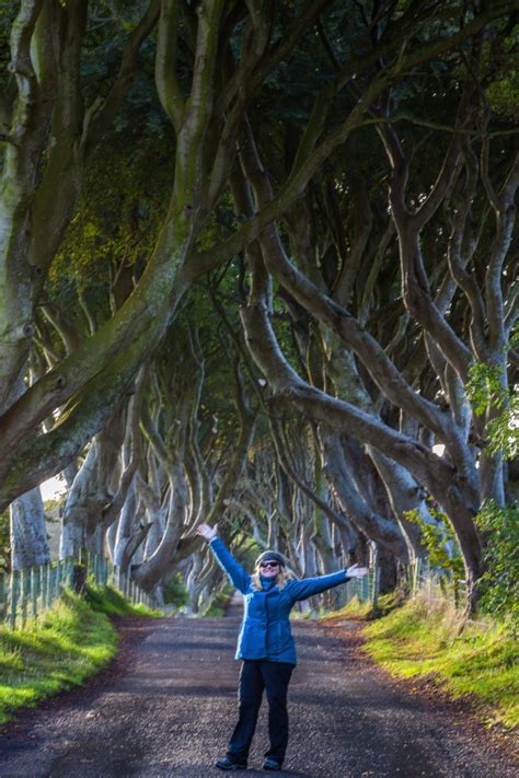 The Dark Hedges Of Northern Ireland Tips To Visit And What You Need