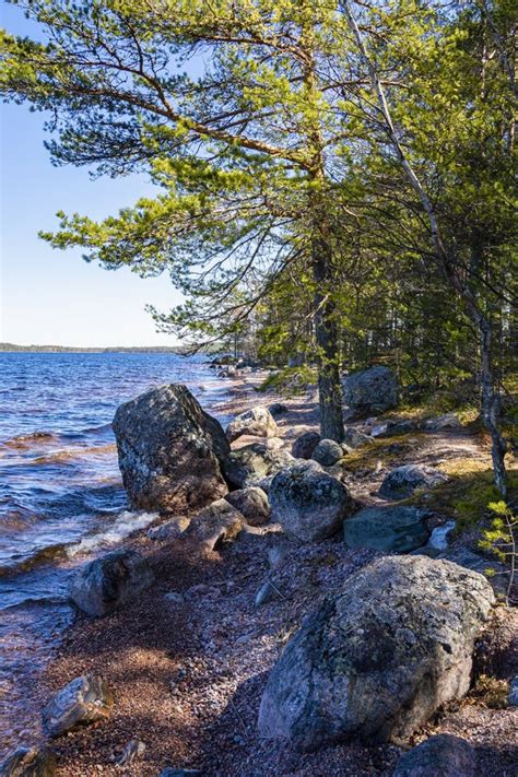 View Of The Shore Of The Lake Saimaa Sarviniemi Taipalsaari Finland