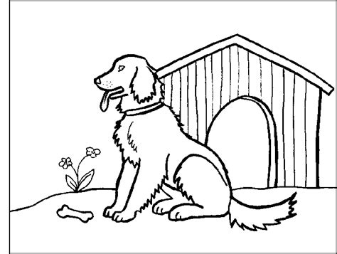 ✓ free for commercial use ✓ high quality images. Golden Retriever Coloring Pages - Best Coloring Pages For Kids