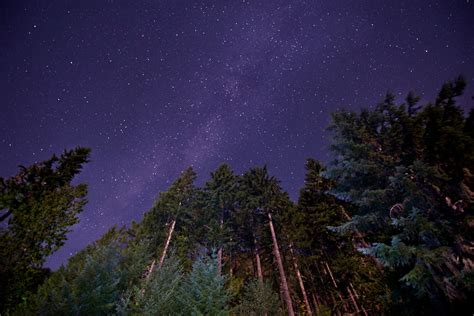 Stargazing In Washington Where To Find The Darkest Skies Stargazing