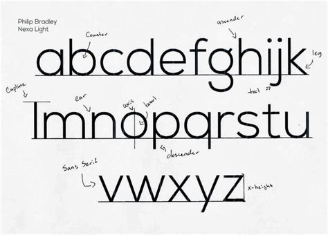 Typographywinter2014 Typography Anatomy Philip Bradley