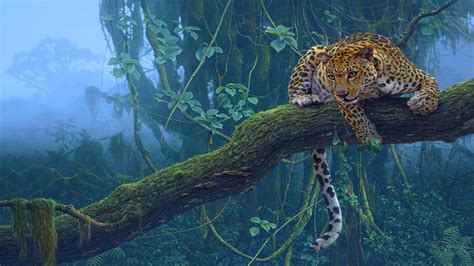 Jaguar Sur Larbre Hd Dektop Wallpaper Widescreen Haute Définition
