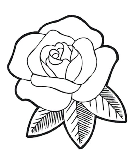 Rose Coloring Pages For Decoration Educative Printable