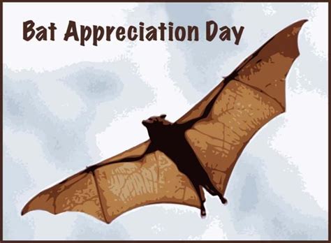 Information And Clip Art For National Bat Appreciation Day All About