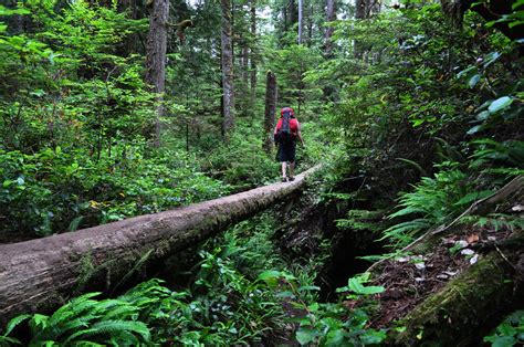 West Coast Trail Drbeckmann