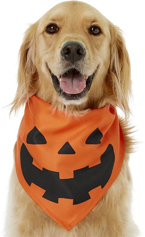 Easy Dog Costumes 15 Simple Costumes For Dogs