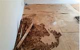 Photos of Termite Damage Floor