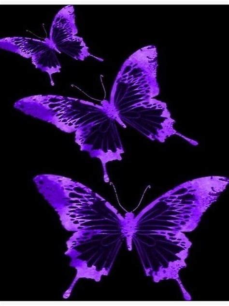 yk butterfly purple poster  sabrinamerg   purple butterfly