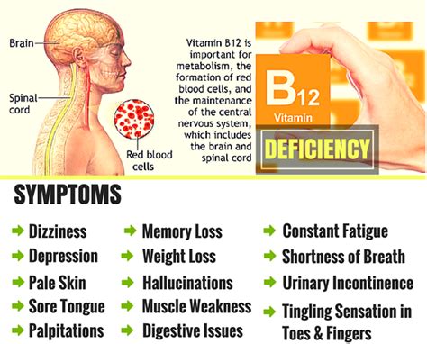 Signs And Symptoms Of Vitamin B12 Deficiency In Older Adults Nursing
