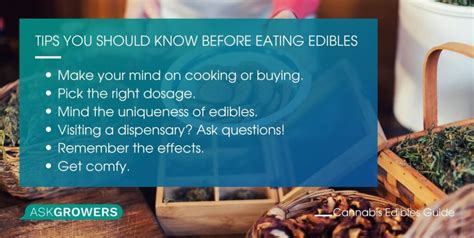 Comprehensive Guide On Cannabis Edibles All You Need To Know Updated