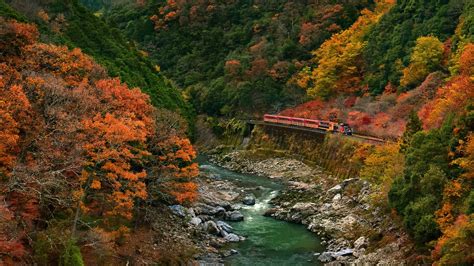 Nature Landscape Trees Forest Branch Leaves Colorful Fall Rock