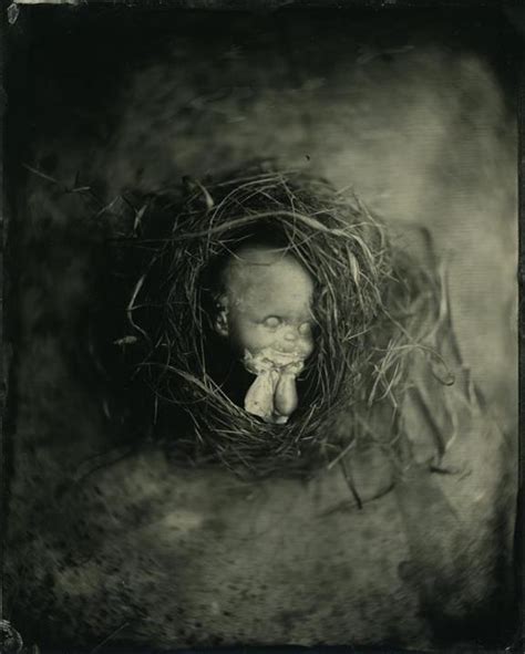 Wet Plate Collodion Andrew Moxom Photography