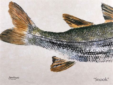 Snook Painting Fd45612 43x 23