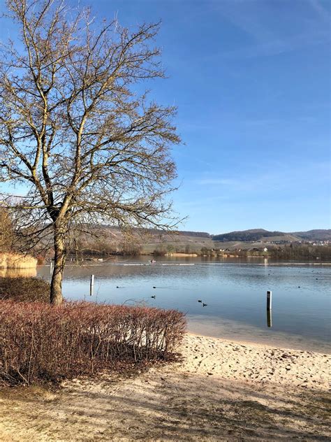Views By A Breitenauer See An Einem Schönen Wintertag