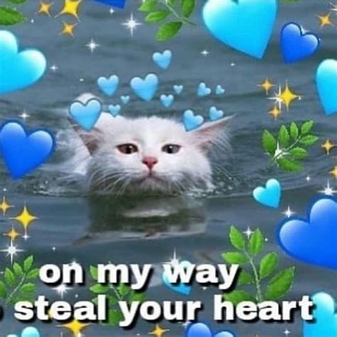 Uwu Wholesome Cat Heart Meme Bmp Ville