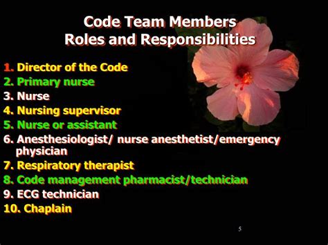 Ppt Code Team Members Roles And Responsibilities Powerpoint