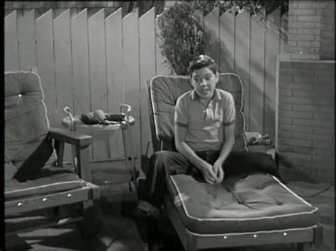 The Donna Reed Show Jeff Vs Mary Tv Episode 1959 Imdb