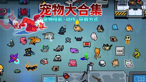 元气骑士：32种宠物的技能介绍与获取途径分享 视频 小米游戏中心