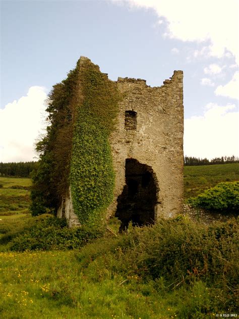 Ireland In Ruins Carthys Castle Co Dublin