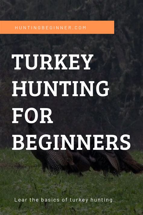 Learn The Basics Of Turkey Hunting For Beginners Along With Some Handy