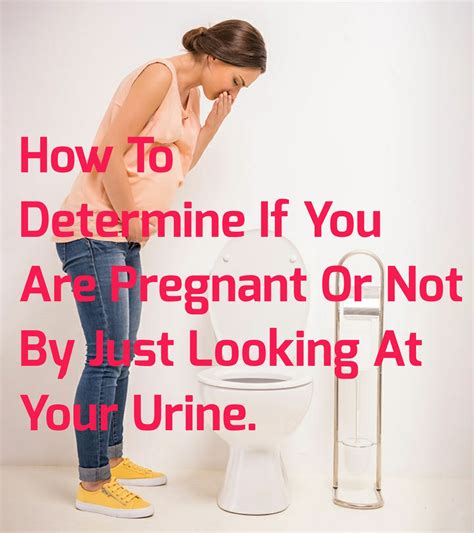 How To Determine If You Are Pregnant Or Not By Just Looking At Your