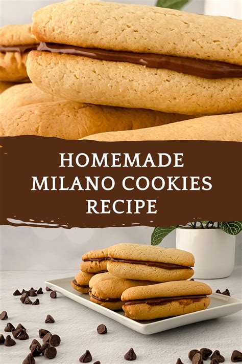 Homemade Milano Cookies Recipe Tamara Like Camera