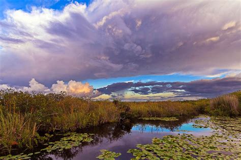 Florida Everglades Photography Photophique