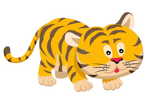Cute Cartoon Tiger Stock Vector Illustration Of Vector 242118283