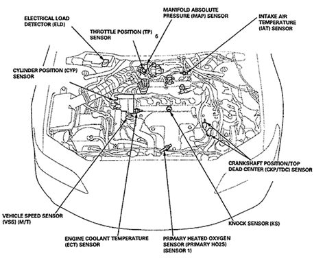 1998 Honda Accord Engine Diagram Diagram Resource Gallery