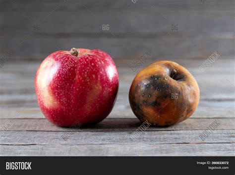 Fresh Rotten Apples Image And Photo Free Trial Bigstock