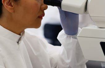 According to the bureau of labor statistics the job is challenging and rewarding, and in most, cases lucrative. How Much Money Does a Biological Scientist Make? | Chron.com