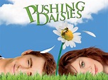 Prime Video: Pushing Daisies: The Complete First Season