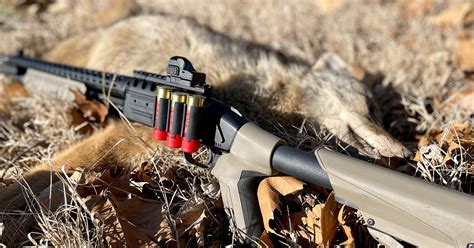 Tactical Shotguns For Predator Hunting Shoot On