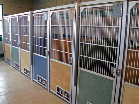 Attractive Dog Kennels With Multi Colored Privacy Panels At Weld County