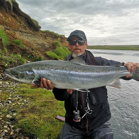 Our Salmon Season Has Started In Iceland Anglersis Fishing In Iceland