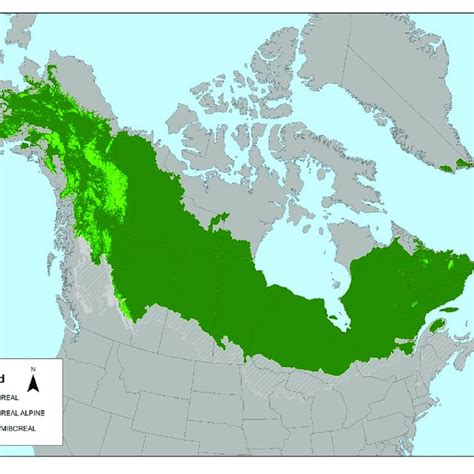 The North American Boreal Forest Biome Encompasses Most Of The