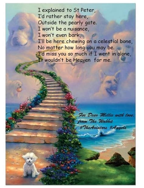 Pin By Beth Heckman On Babies 2♡♡ Dog Heaven Pets Pet Remembrance