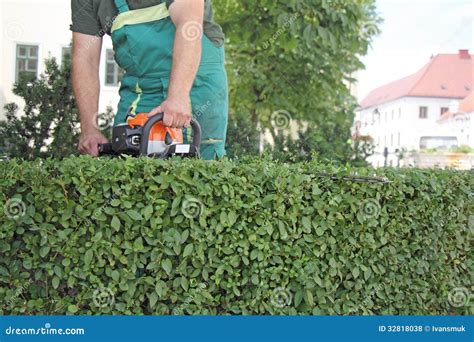 Man Trimming Hedge2 Stock Photo Image Of Outside Hedge 32818038