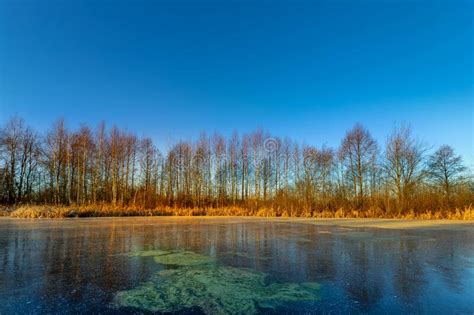 Cold Sunny Morning Frozen Lake On An Autumn Day Stock Photo Image Of