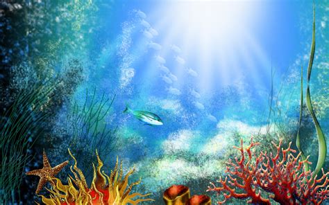 Fish Tank Backgrounds Download Pixelstalknet