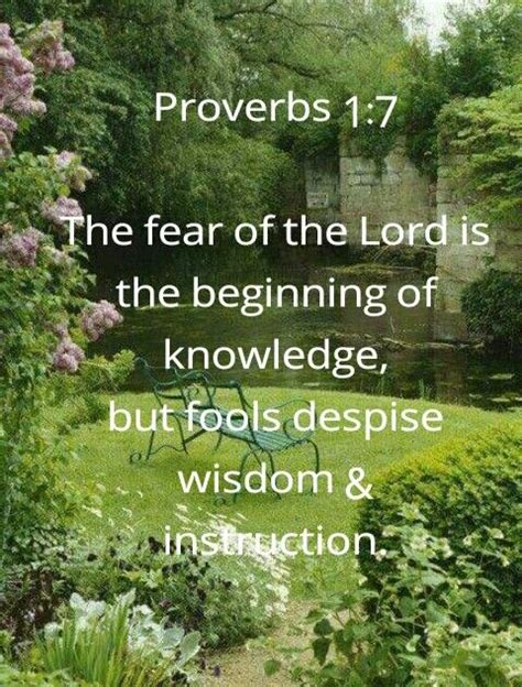 Pin By Diana Mulgrew On Bible Proverbs Bible Proverbs Fear Of The