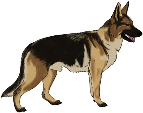 Transparent Funny Dog Png German Shepherd Dog Clipart Full Size