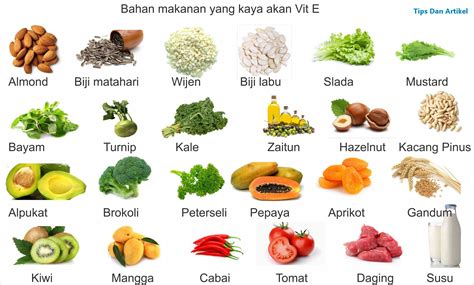 Berikut makanan yang mengandung vitamin c vitamin ini juga punya reputasi dalam melindungi tubuh dari radikal bebas yang merusak sel, organ, dan jaringan tubuh. Makanan Yang Banyak Mengandung Vitamin E | Tips Dan Artikel